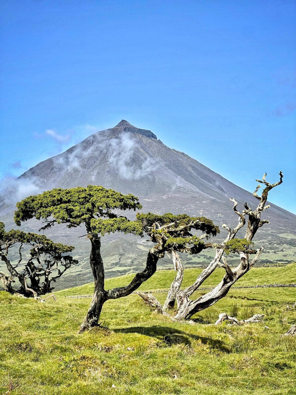 Wandeling Mount Pico