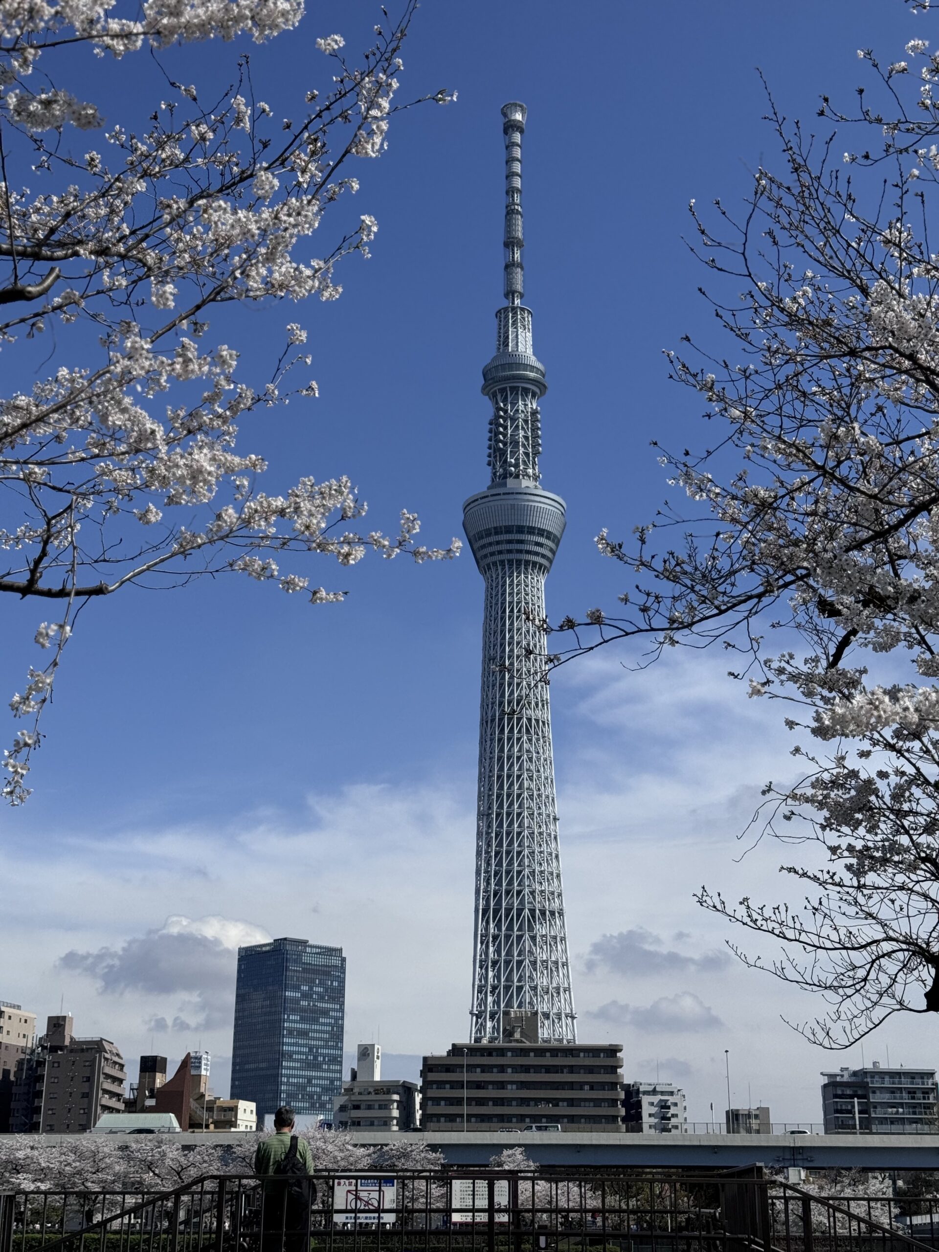 Individuele rondreis Japan, Tokio