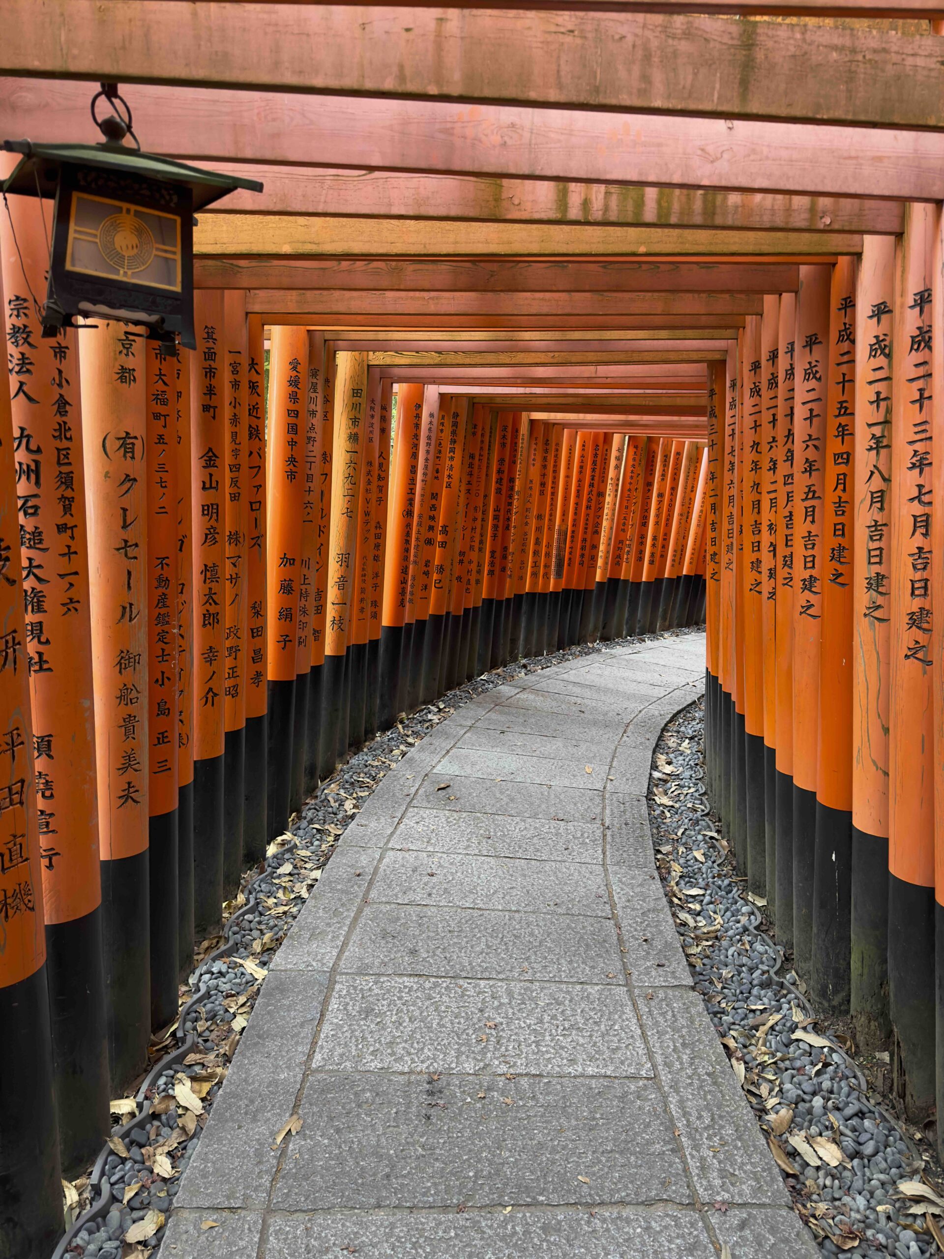 Kyoto tori gates