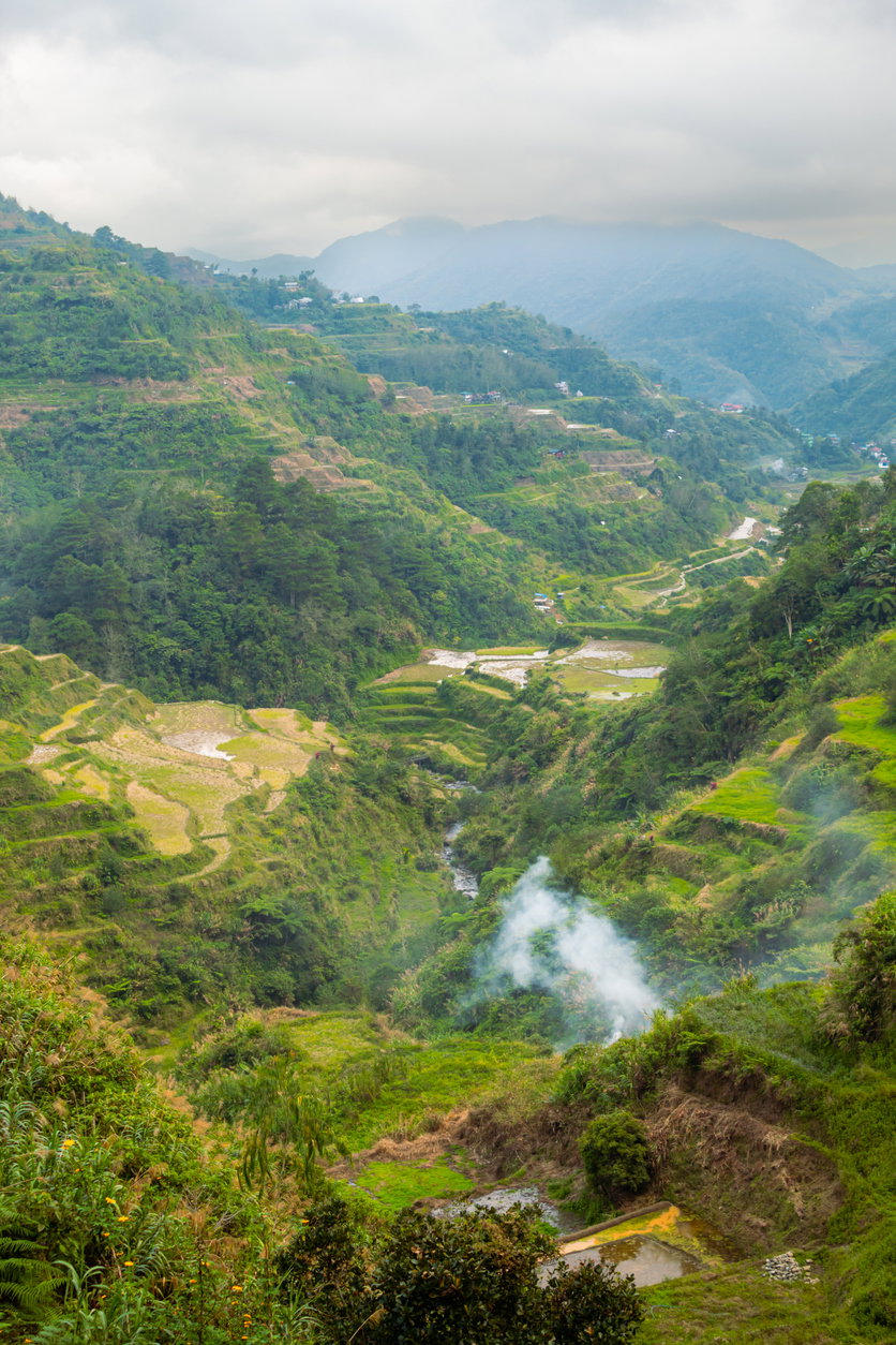 Vertical image of the Ifugao Rice Terraces, UNESCO world heritage in Ifugao, Luzon Island, the Philippines, background image with copy space