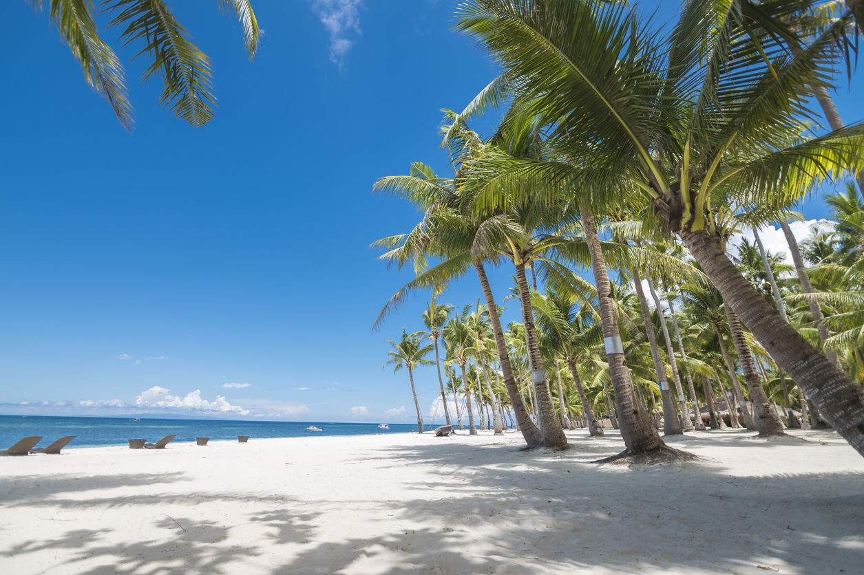 Panglao Bohol Filipijnen