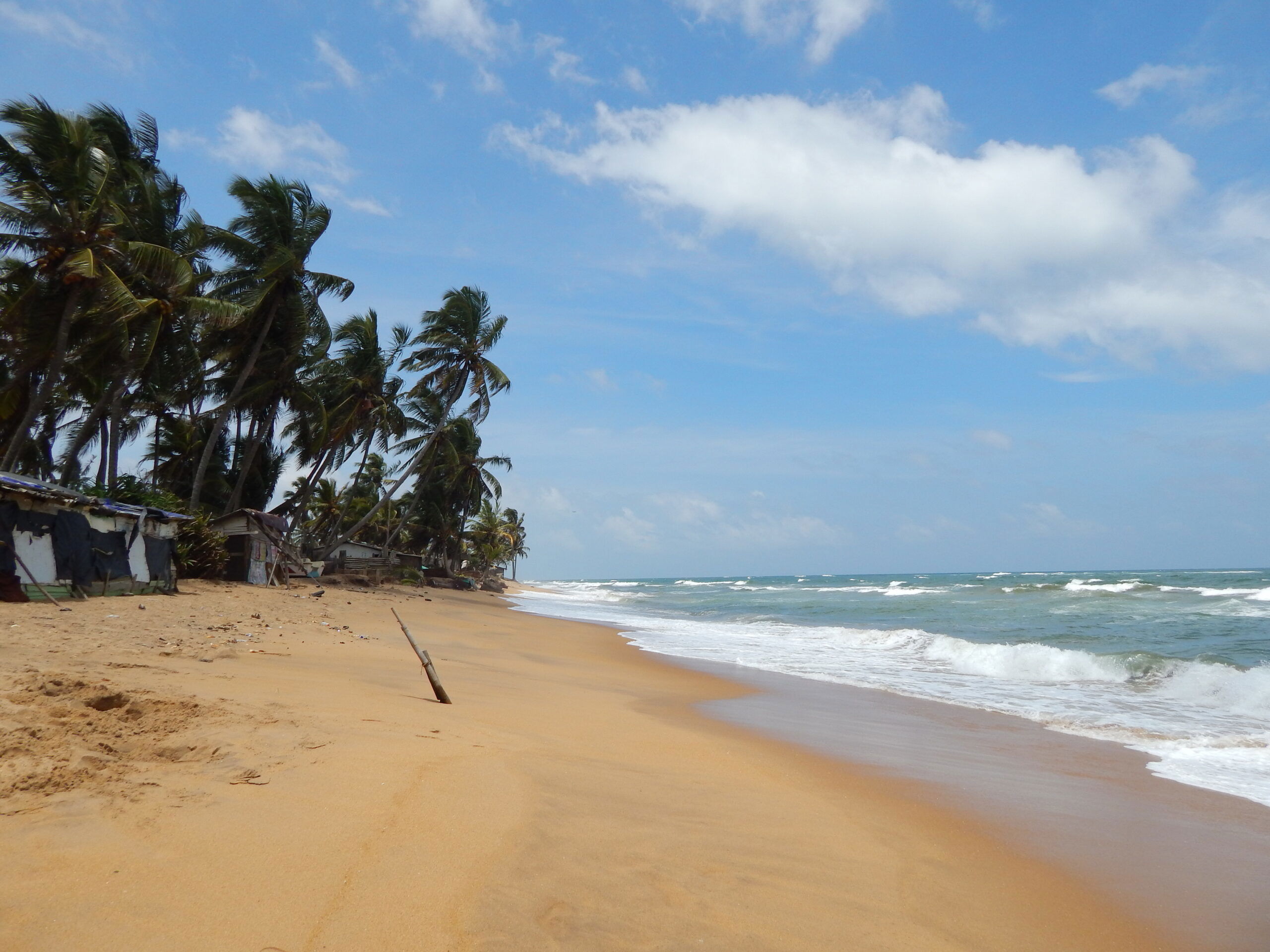 Anuradhapura & Trincomalee