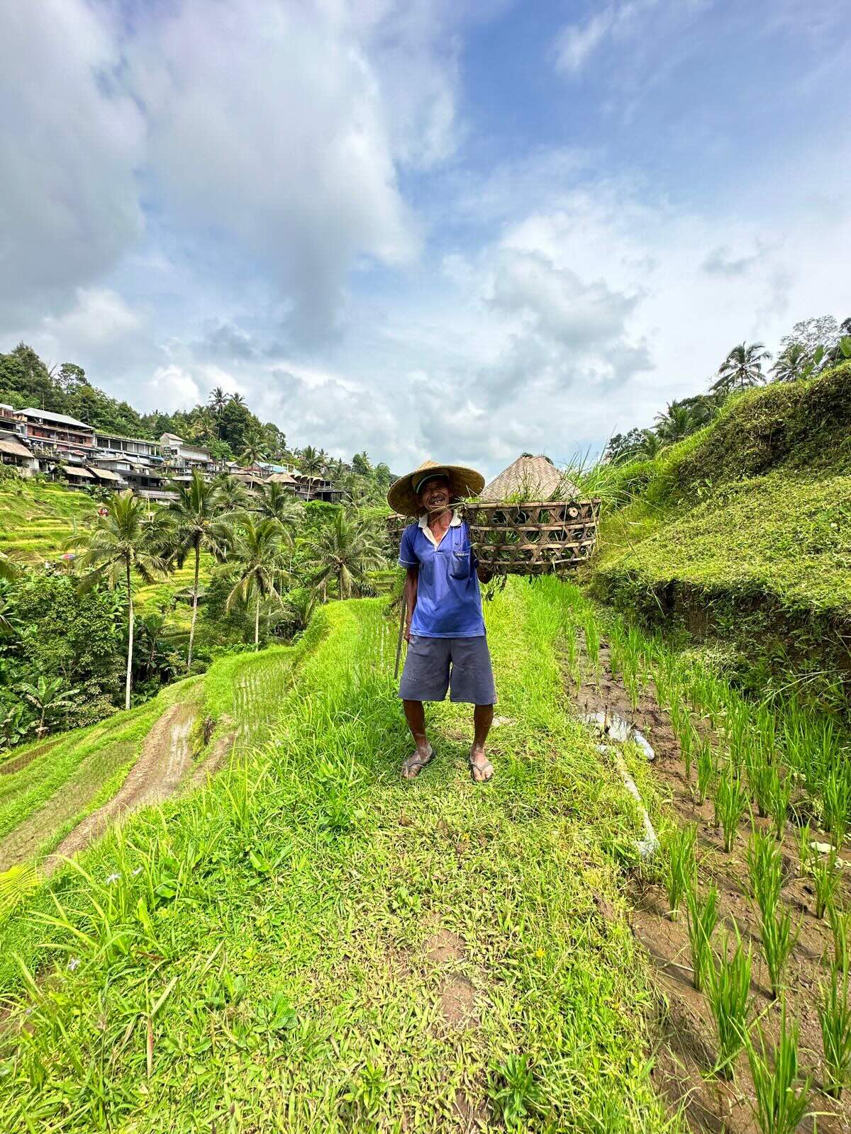 Man in de rijstvelden van Tegalalang Bali