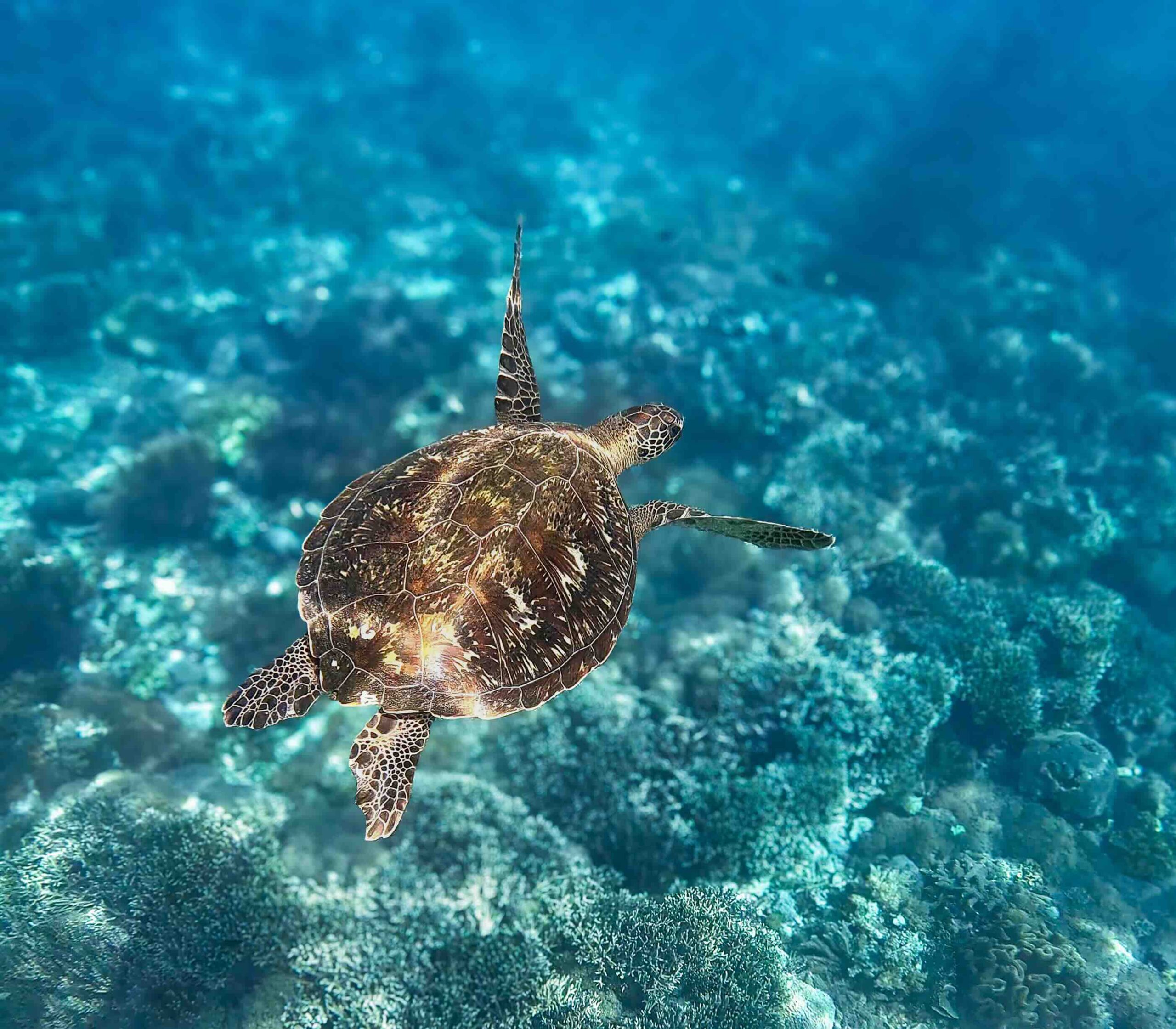 Gili Eilanden