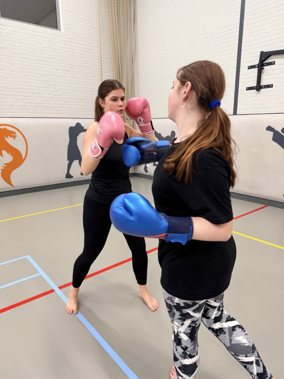 ladiesonly kickboksen - kickboksen alleen voor vrouwen
