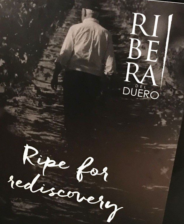 Ontdek de wijnen van Ribera del Duero op het Amsterdam Wine Festival