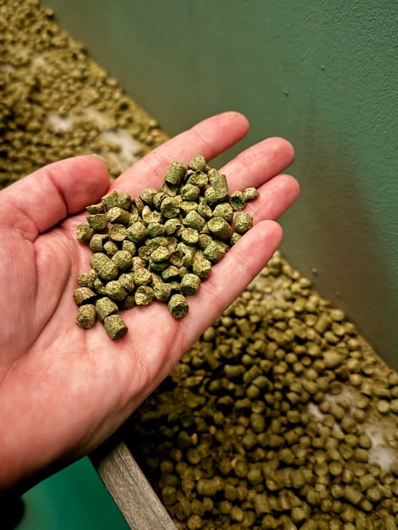Op bezoek bij de Pilsner Urquell Brouwerij in Pilsen