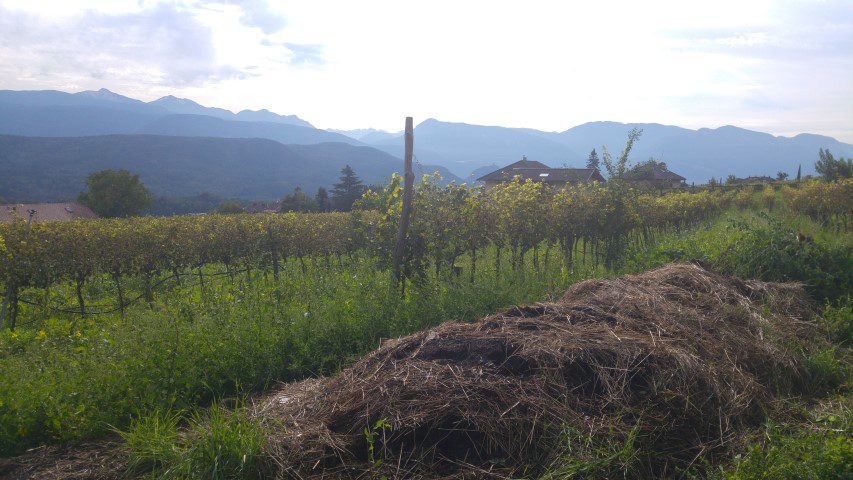 Tröpfltalhof Winery Zuid-Tirol