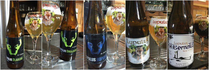 5 brouwerijen in Wallonië - Op bezoek bij: Brasserie Lupulus