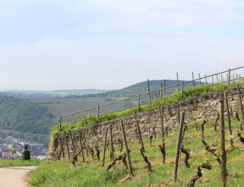 Een weekend vol wijn in de Rheingau