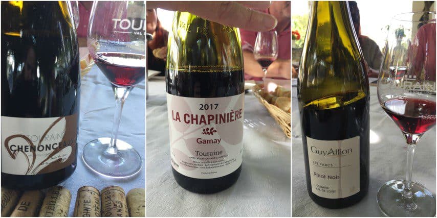 Wijnen in de Loire - Touraine