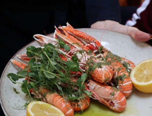 Mijn tips voor een rondje Loch Lomond, Loch Fyne en Isle of Bute