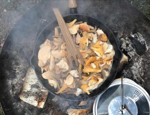 Culinaire reis door Småland: eten, natuur en verborgen parels in Zuid-Zweden