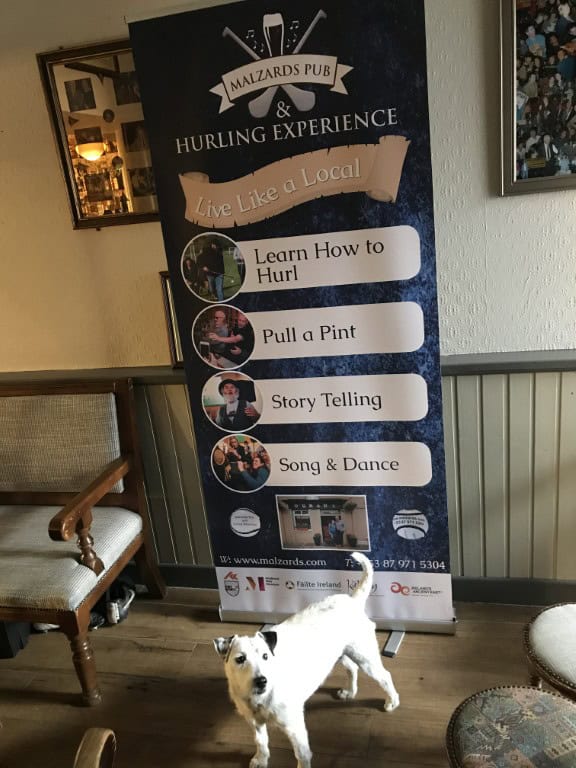 12 Tips voor Kilkenny en omgeving: Ierse charme met een stevige pint erbij 24 Pub Malzards Pub in Stoneyford - dingen om te doen in de omgeving van Kilkenny Ierland