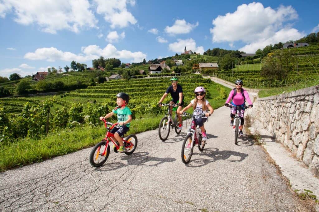 Door de wijngaarden fietsen in Slovenië