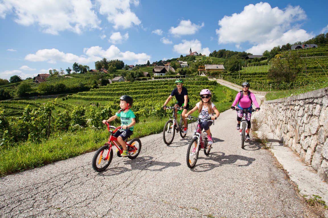 Door de wijngaarden fietsen in Slovenië