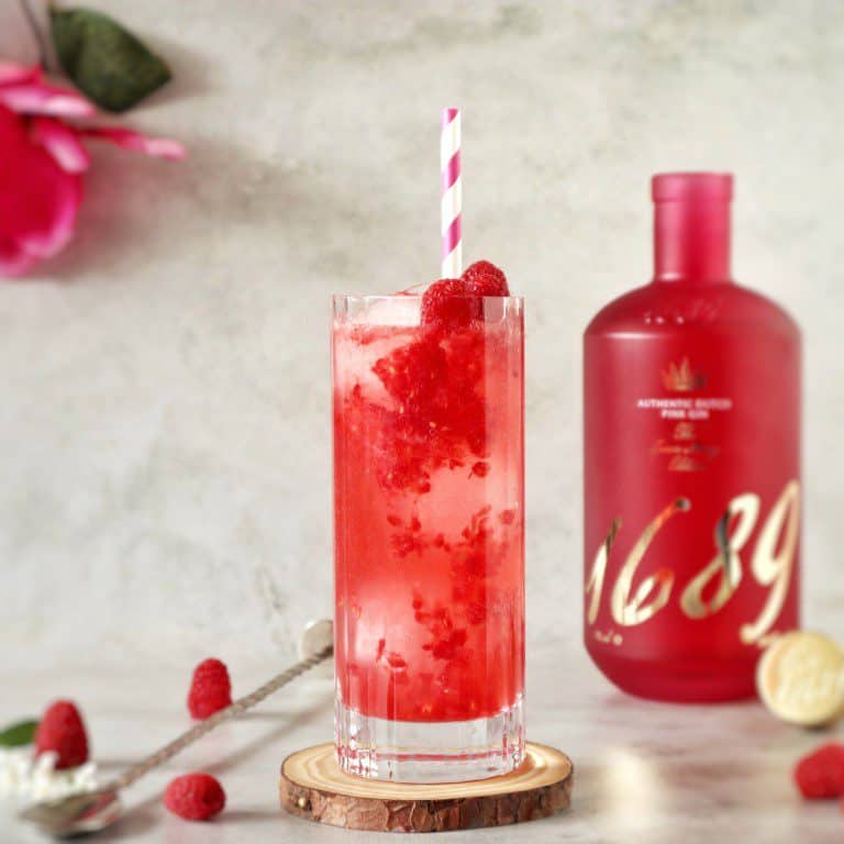 zomerse cocktails met gin - Pink Gin 1689