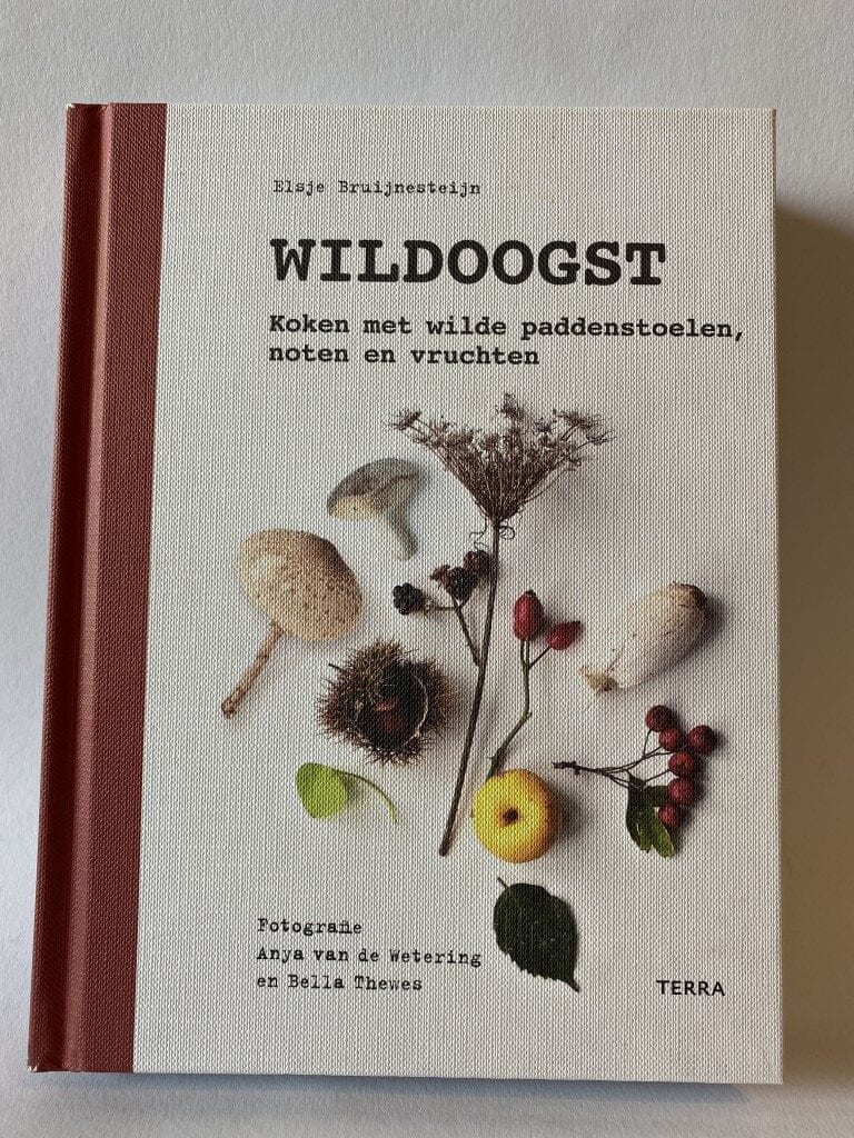Review: Wildoogst - Elsje Bruijnesteijn