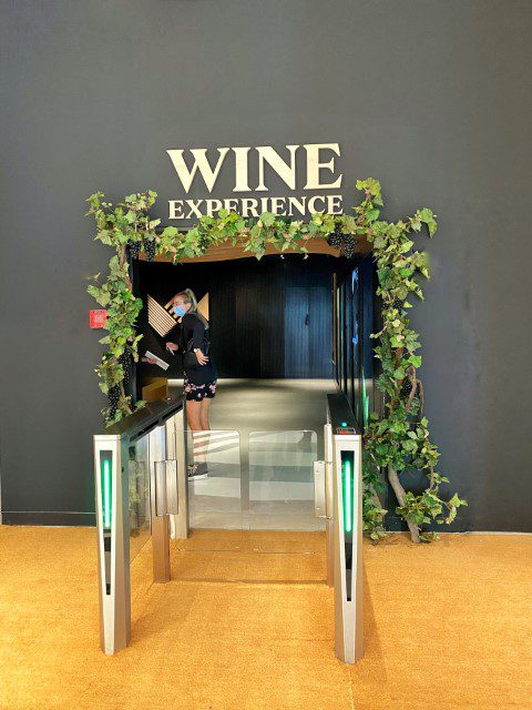 Wine Experience - World of Wine -WOW Porto