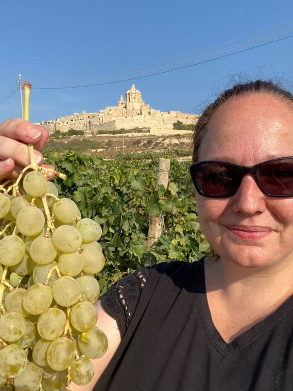 Girgentina druiven oogsten Malta - Carmel Cortis