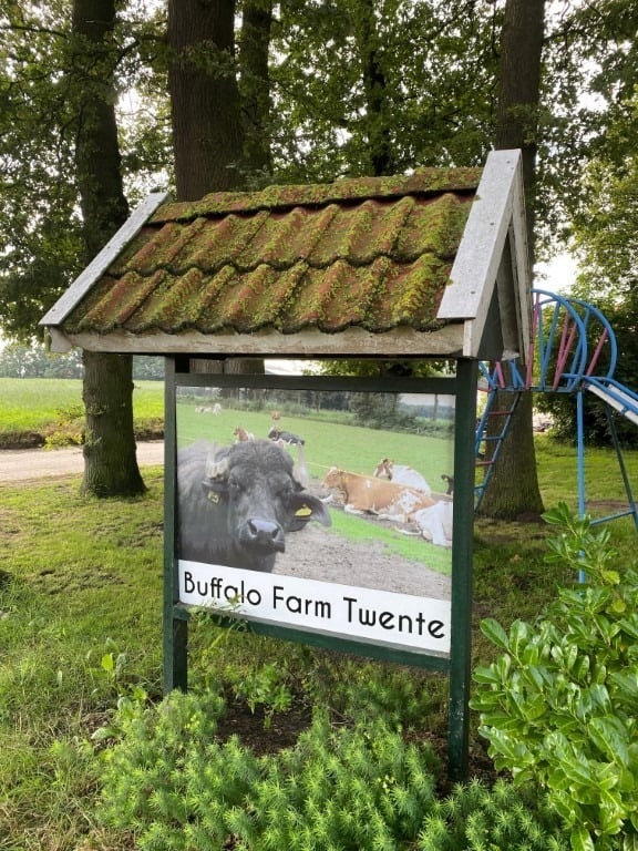 Buffalo Farm Twente 