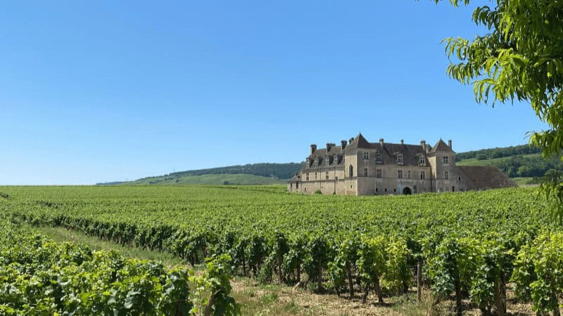 Château du Clos de Vougeot - Een wijnkasteel vol smaak 