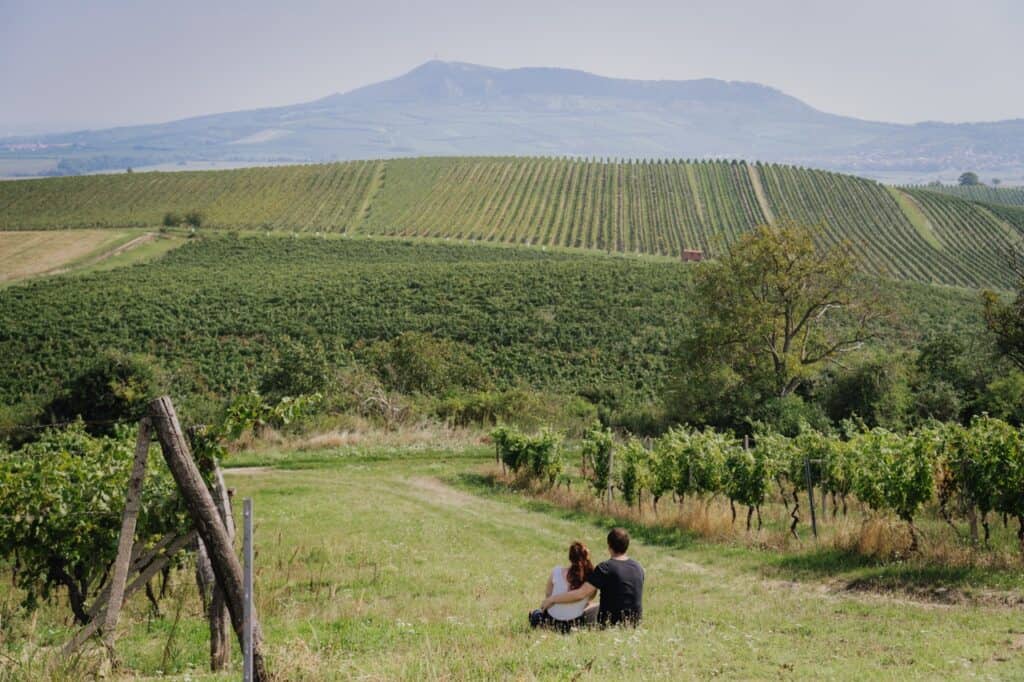 Ontdek de wijngaarden van Zuid-Moravië in Tsjechië