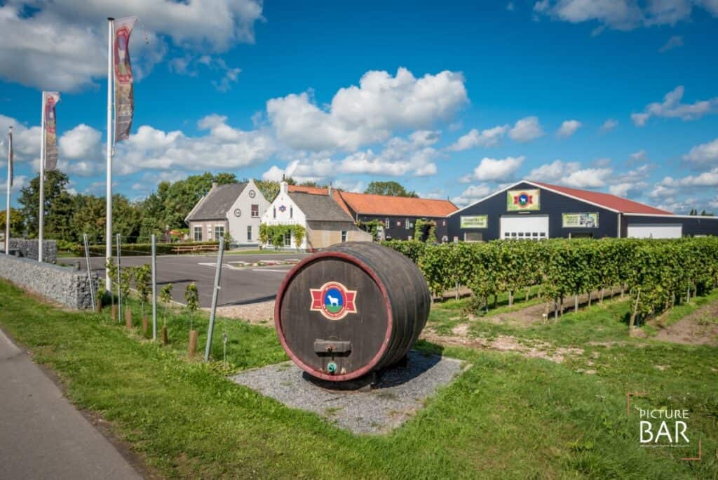 Bucketlist: 10x slapen in een wijnvat - Camping de Kleine Schorre (Zeeland, Nederland) 