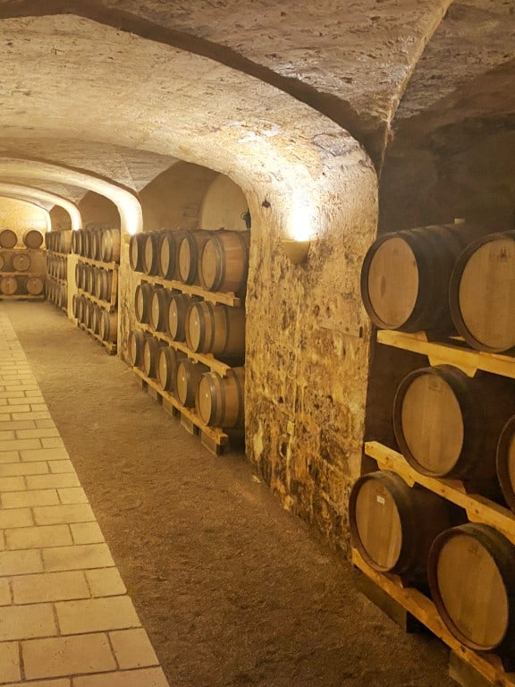 Vakantie Puglia dé bestemming voor een wijnvakantie