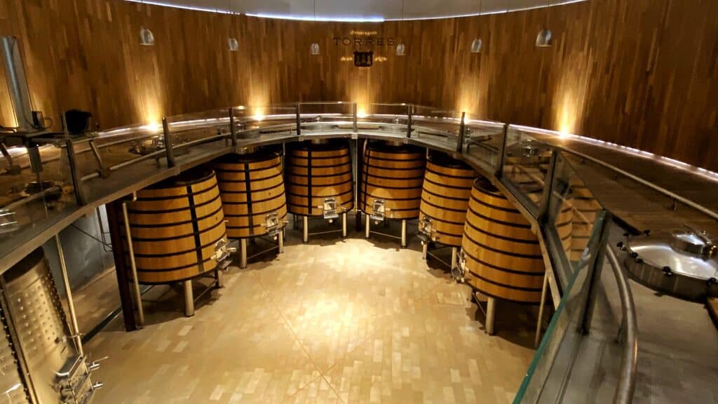 Bodega Torres - Op bezoek bij 4 wijngaarden en cava wijnhuizen in de Penedès