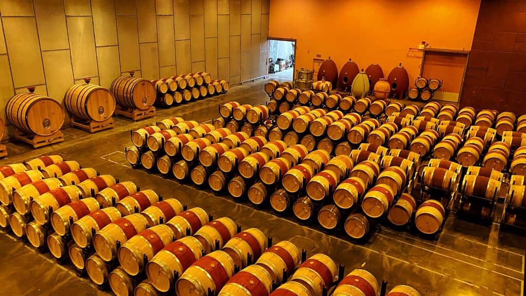 Bodega Torres - Op bezoek bij 4 wijngaarden in de Penedès