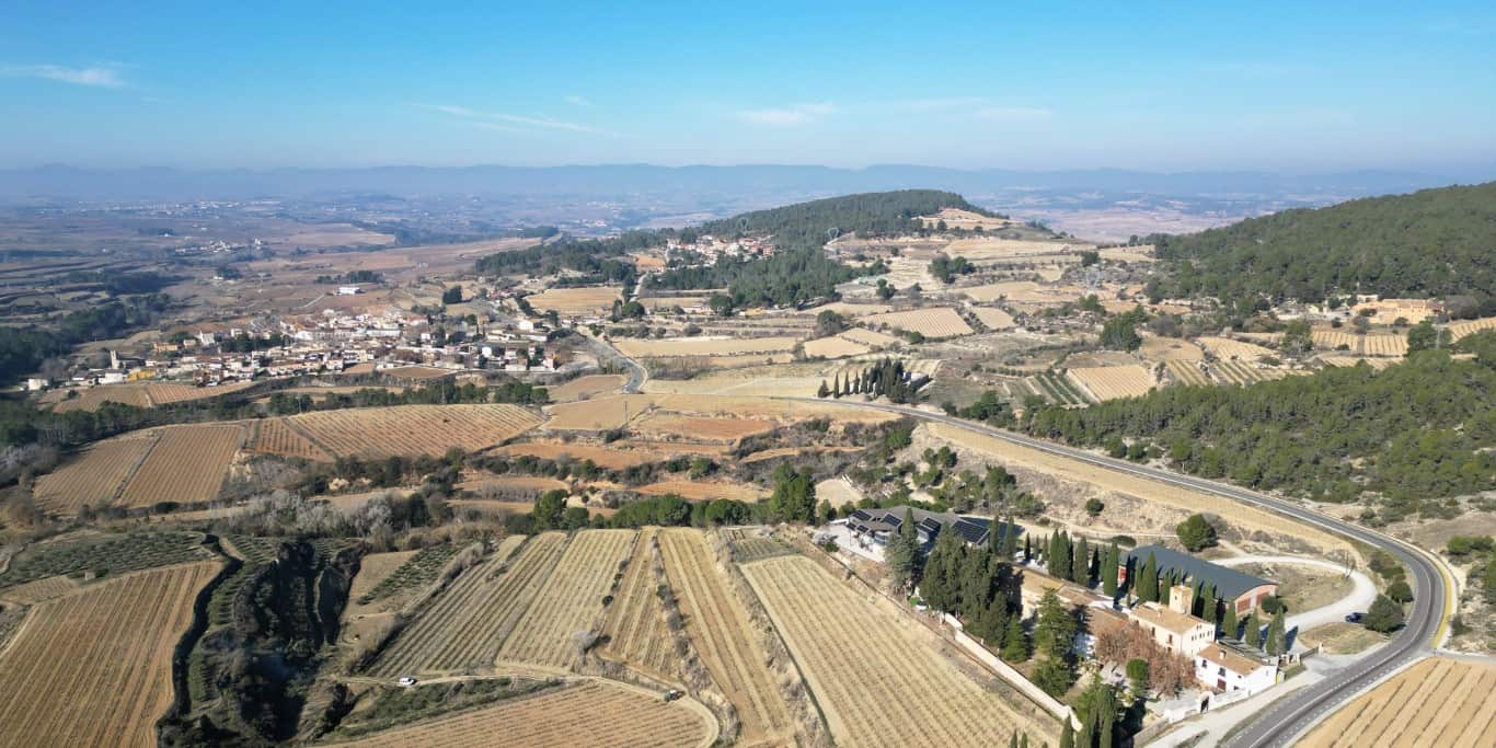 Een introductie van Cava en de Penedès wijngaarden