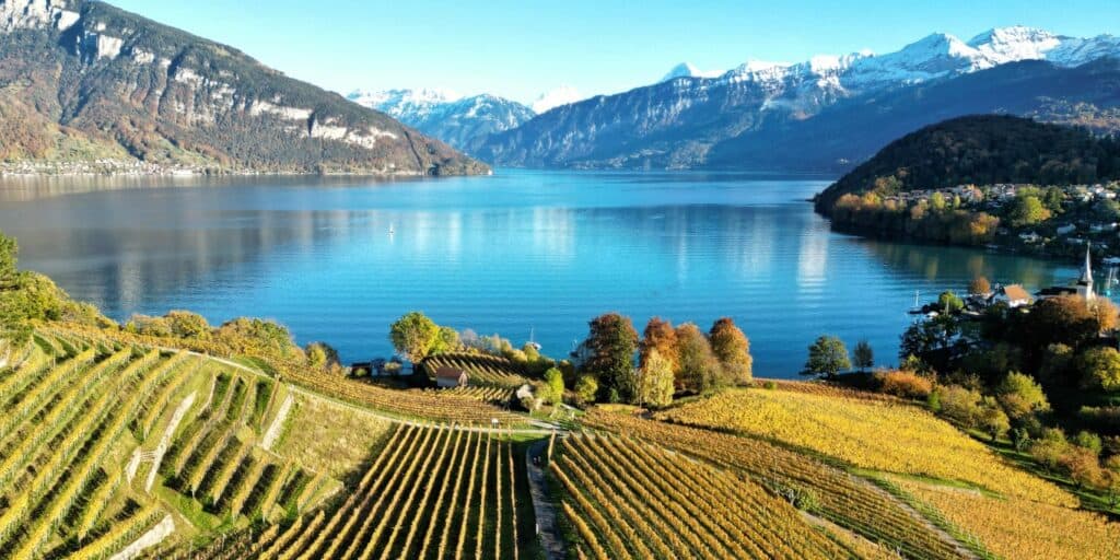Op bezoek bij de Spiez Wijngaarden in Zwitserland