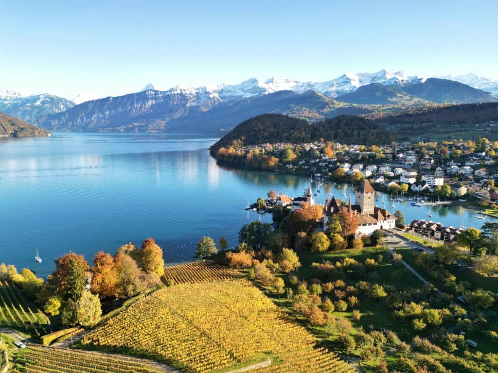 Op bezoek bij de Spiez Wijngaarden in Zwitserland