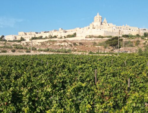 Tips voor Malta – eten, drinken, slapen en bijzondere bezienswaardigheden