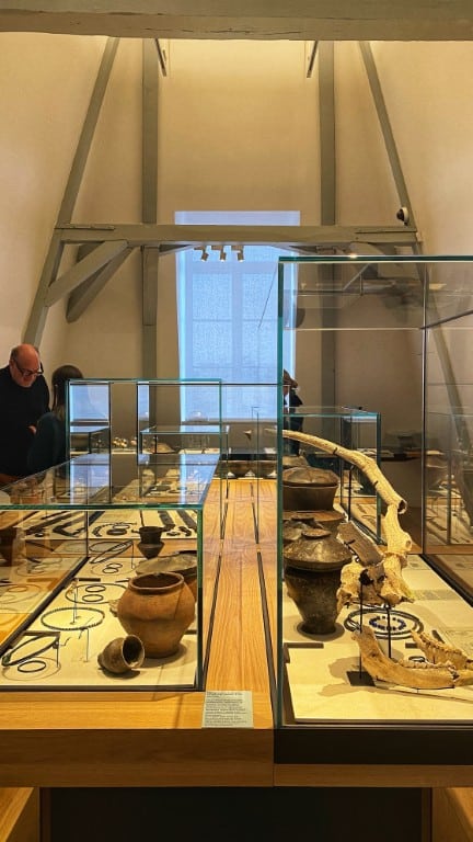 Musée du vin de Champagne et d'Archéologie régionale in Epernay