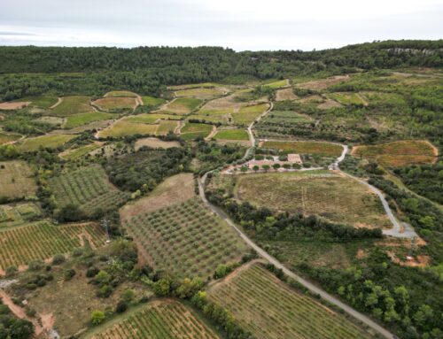 De Saint-Chinian wijnregio & te gast bij Domaine Moulinier