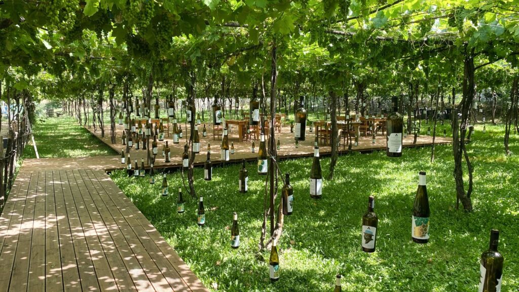 Alpeta Winery 