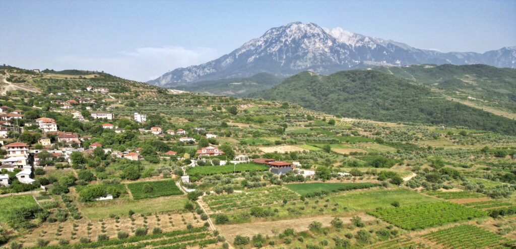 Logeren bij Alpeta Agrotourism & Winery: wijn, raki en rust in de heuvels van Roshnik 1 Logeren bij Alpeta Agrotourism & Winery wijn, raki en rust in de heuvels van Roshnik