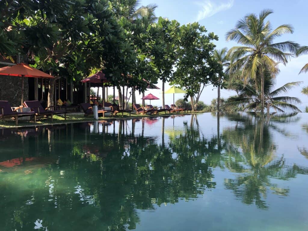 Underneath the Mango Tree – Hollmann-hospitality onder de palmbomen van Sri Lanka 1 Underneath the Mango Tree – Hollmann-hospitality onder de palmbomen van Sri Lanka
