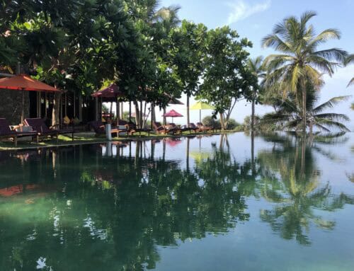 Underneath the Mango Tree – Hollmann-hospitality onder de palmbomen van Sri Lanka