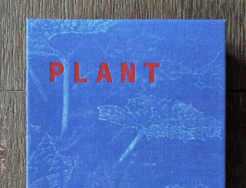 Review: Plant – Emile van der Staak