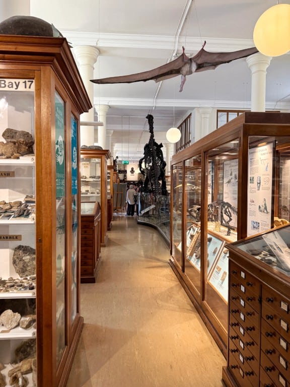 Tips dagje Cambridge - Sedgwick Museum of Earth Sciences