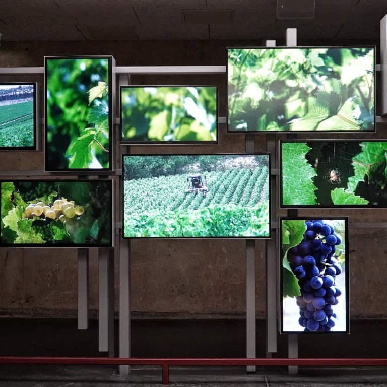 Pressoria Wijnmuseum Champagne 