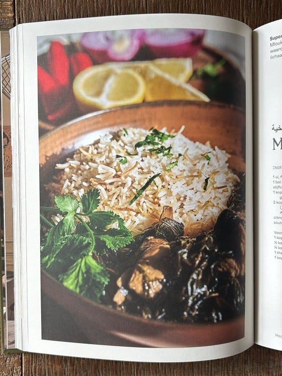 Review Proef de echte Libanese keuken – Nehme Darwiche & Caroline Delbecque