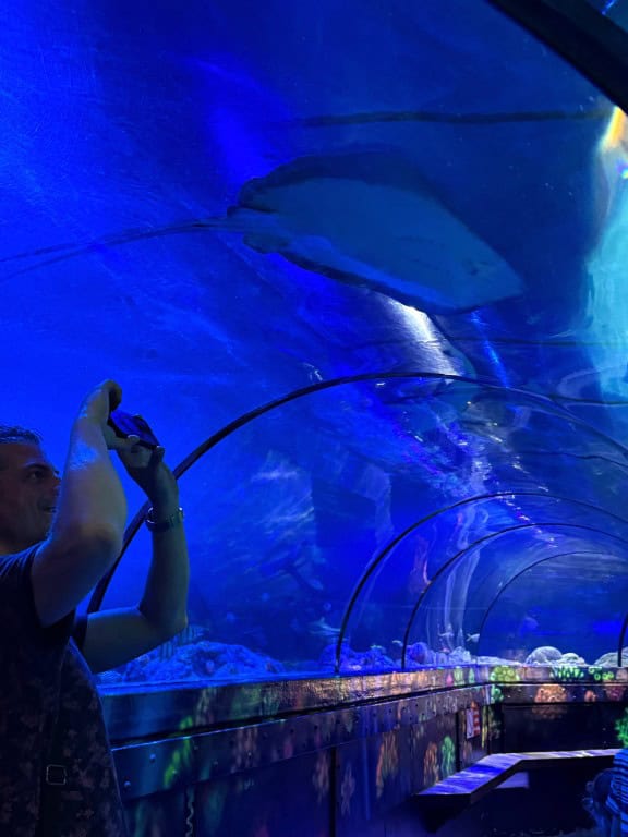 SEA LIFE Brighton