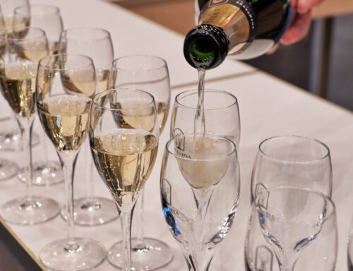 Tip voor december: Bruisend weekend in de Champagne