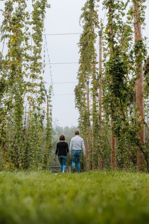 Bierfietsen van bron tot brouwerij: drie Brabantse brouwroutes die dorstig maken