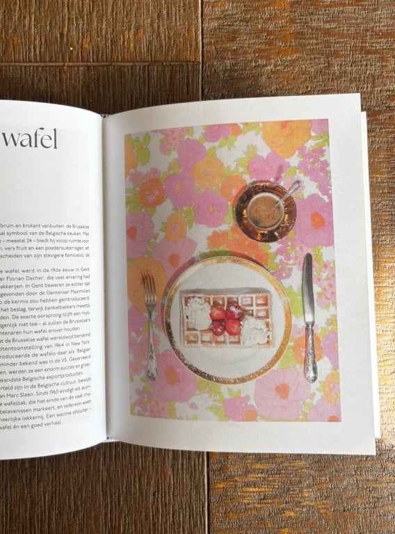 Review Ugly Belgian Food - Fleur Willems
