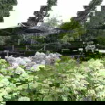 garden design-laying out of the garden